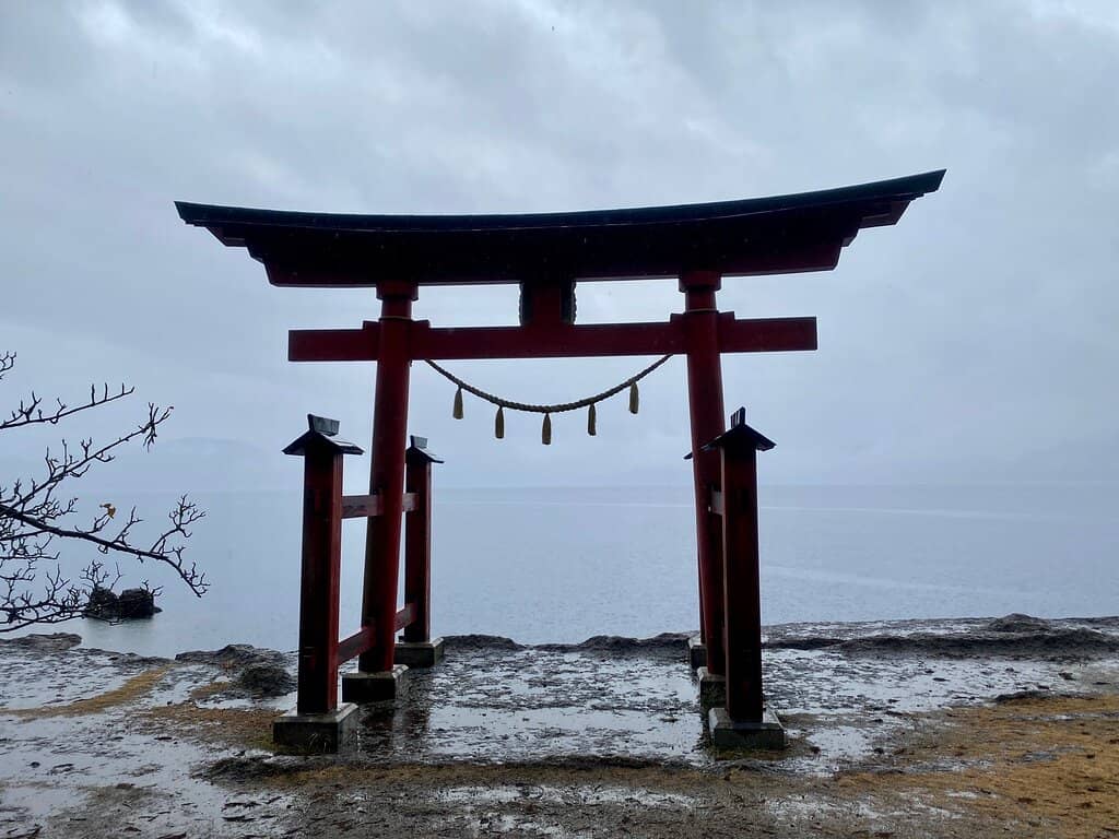 Vertical photo
