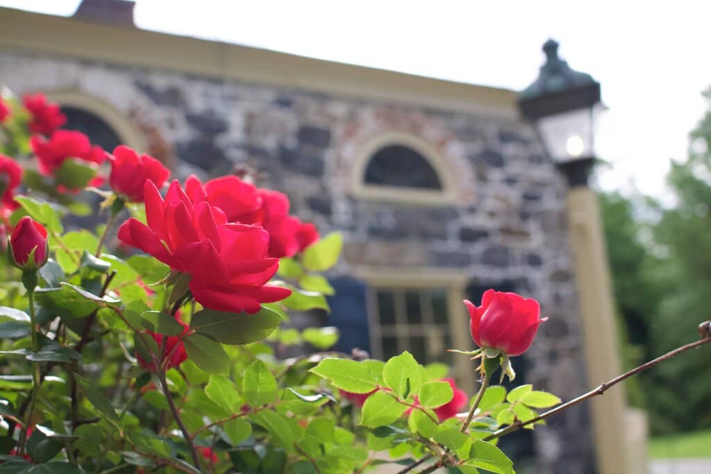 Innovation & Invention Exhibits