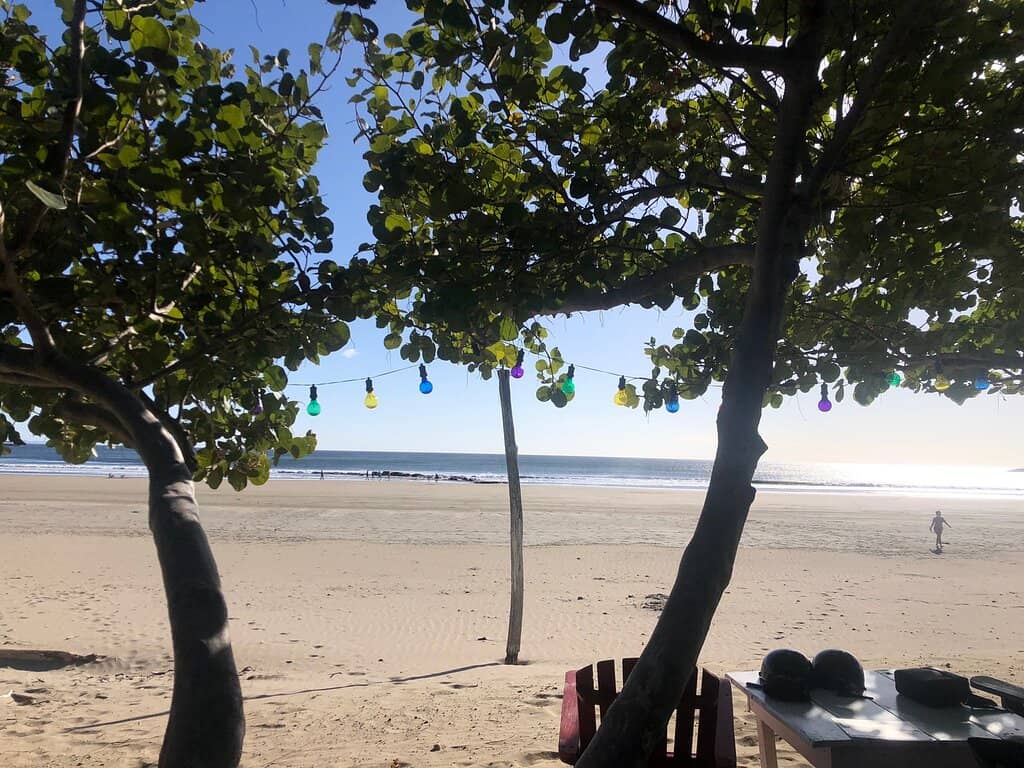 Hammock Haven