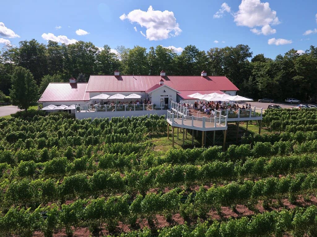 Vineyard Views & Lawn Bar