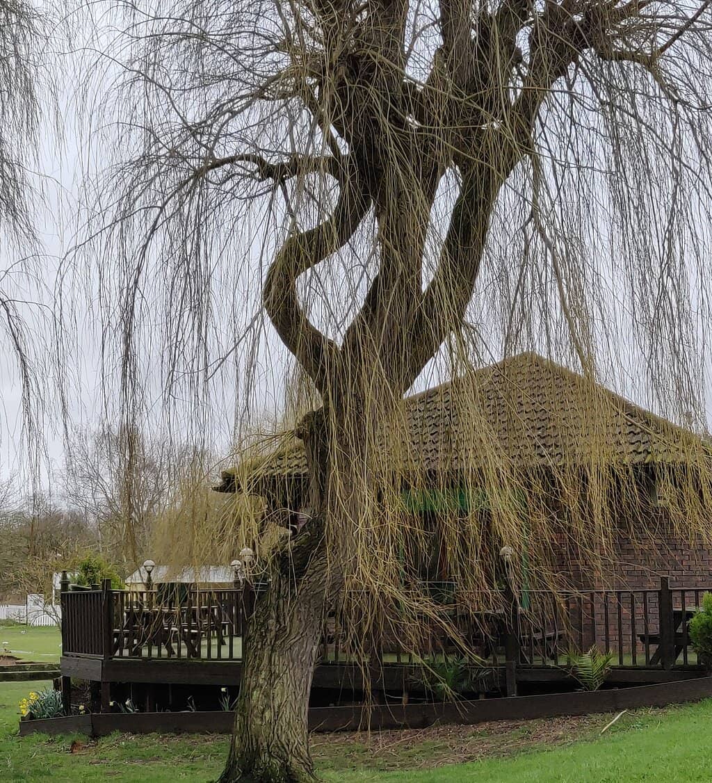 Family Splash Pad & Playgrounds