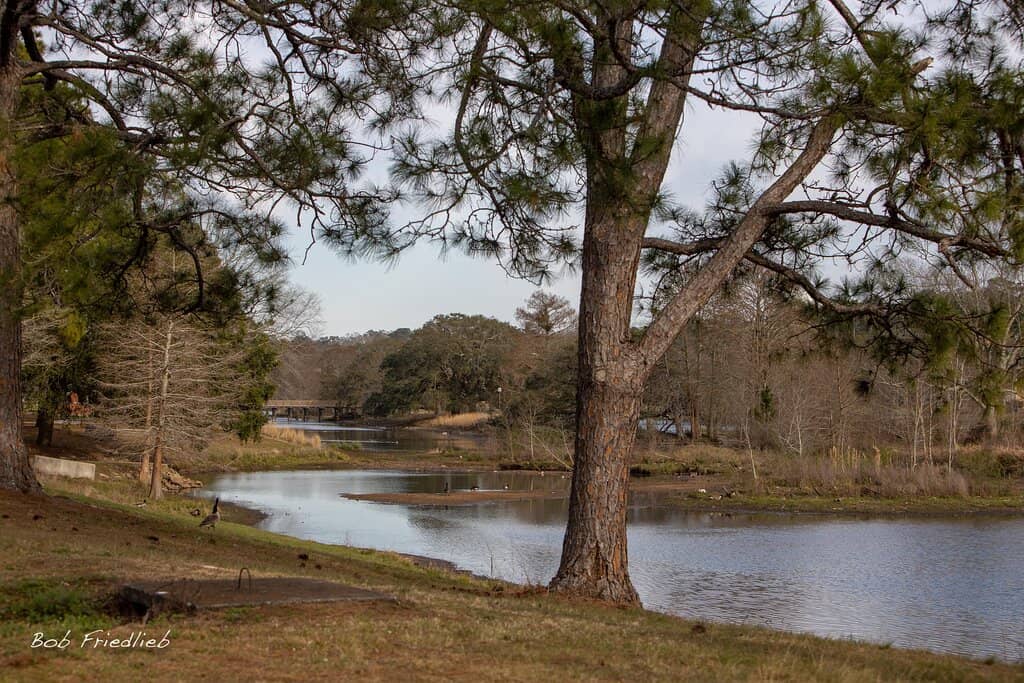 Picnic & Play Areas