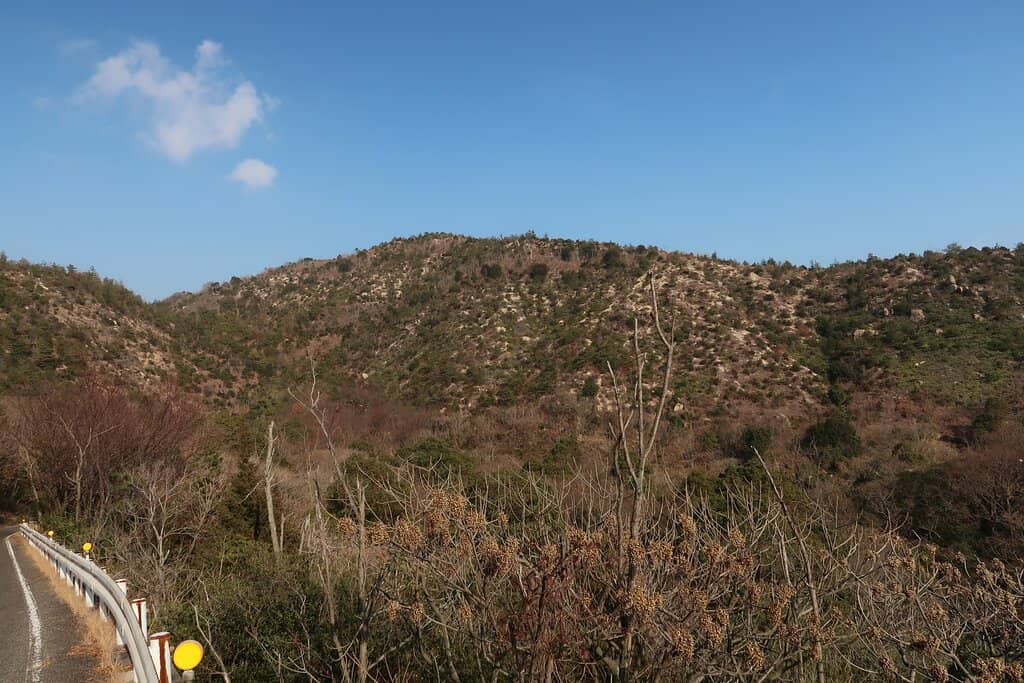 Scenic Walking Paths & Beaches