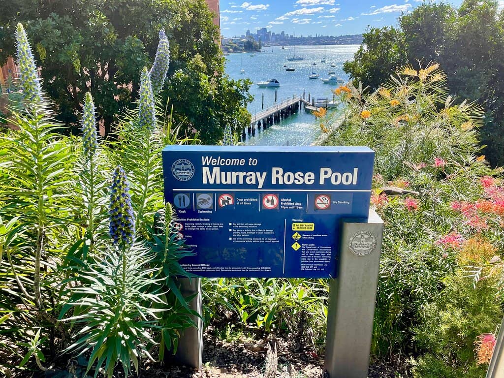 Harbourside Views