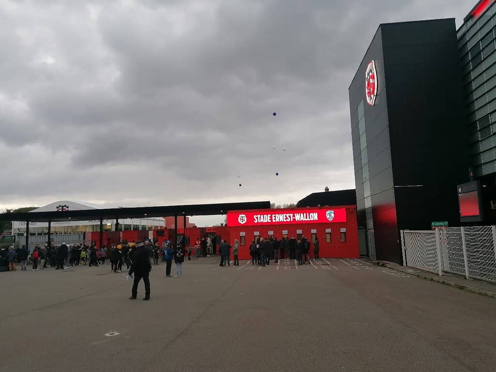 Oysters & White Wine