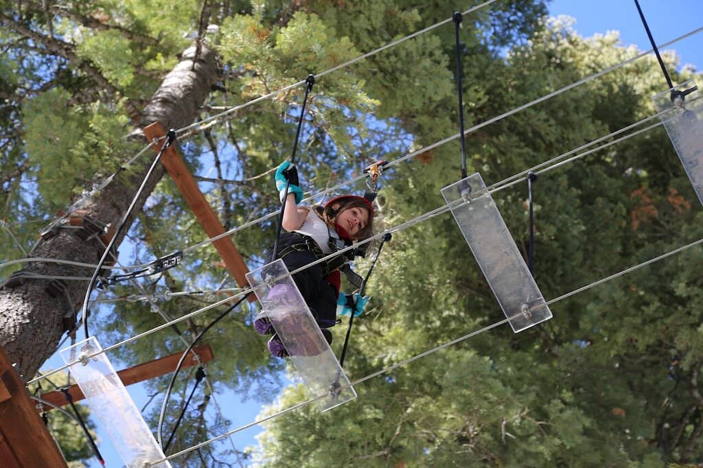 Thrilling Ziplines