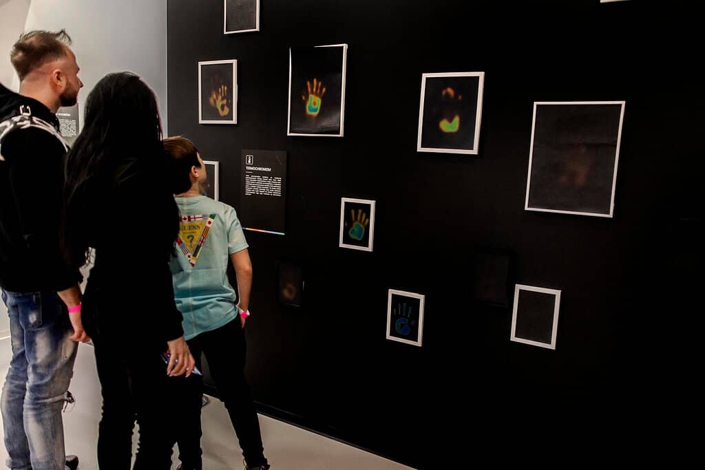 Instagram-Ready Zones