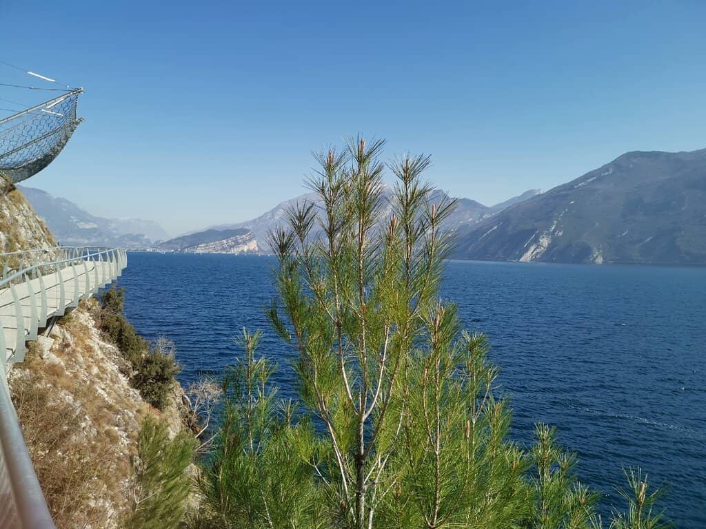 Vertical photo
