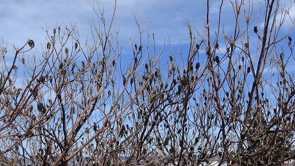 Powerful Ocean Waves