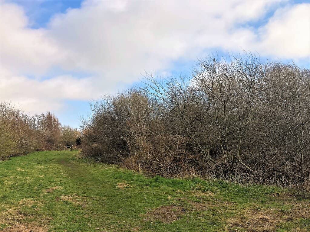 Hutcheson's Quarry Connection