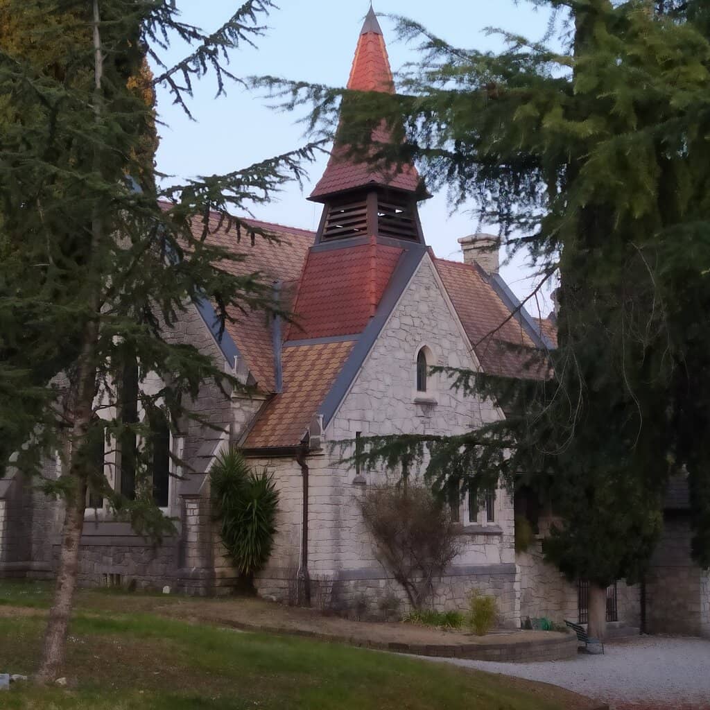 Vertical photo