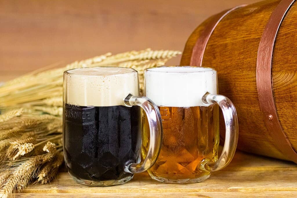 Unlimited Draft Beer