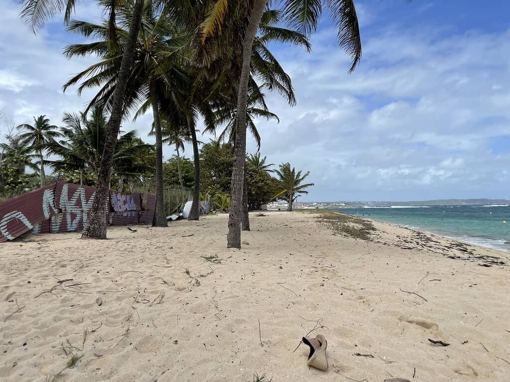 Beachfront Dining & Relaxation