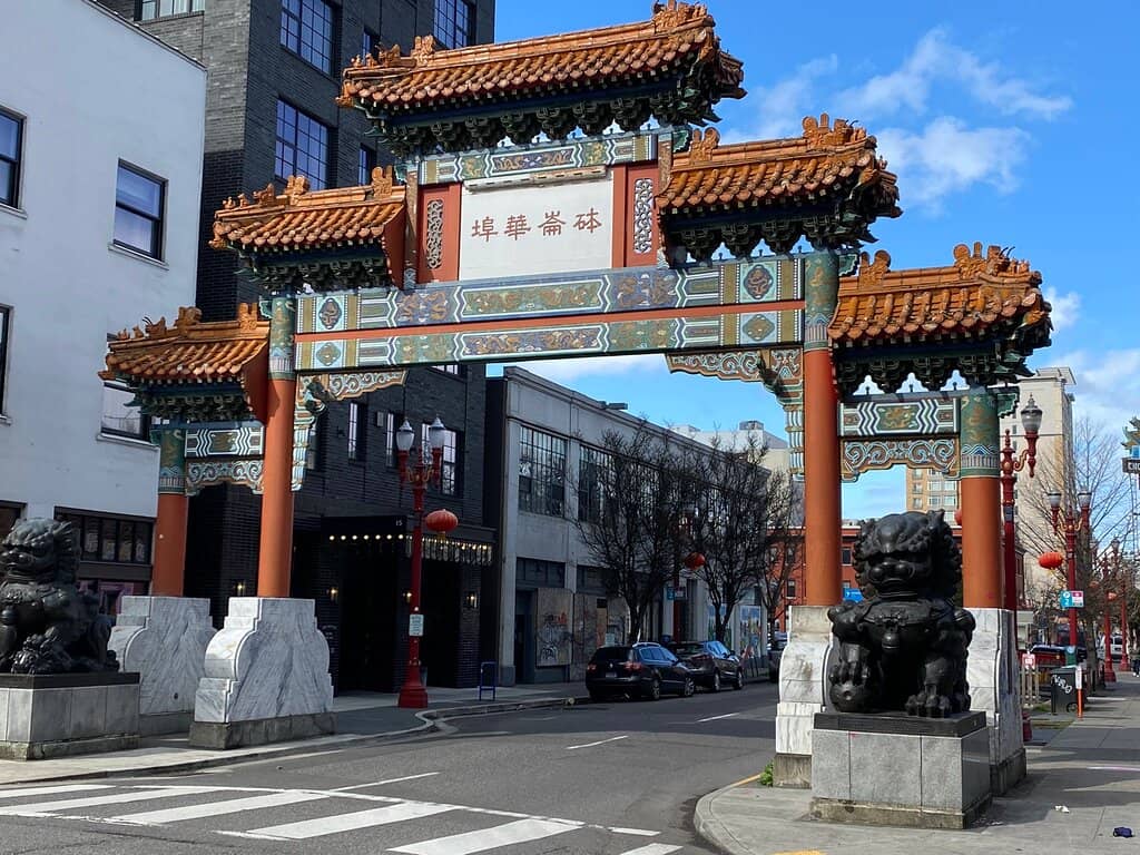 Dumpling Delights