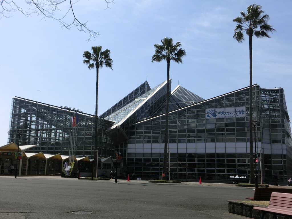 Unique Plant Species