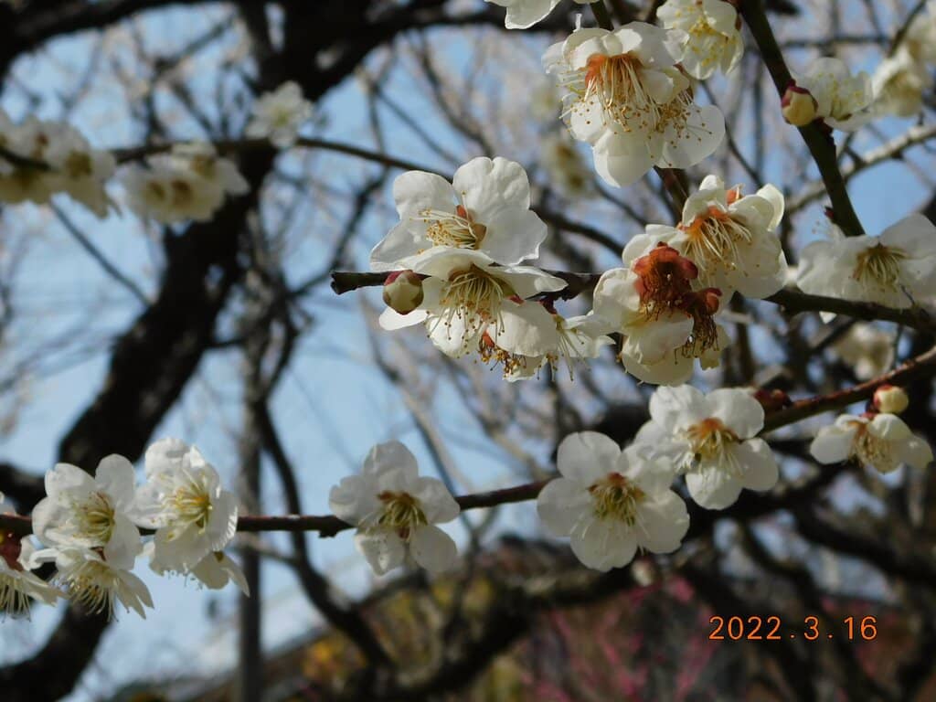 Kobotoke Checkpoint Monument