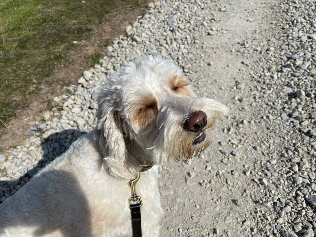 Seal Colony Spotting