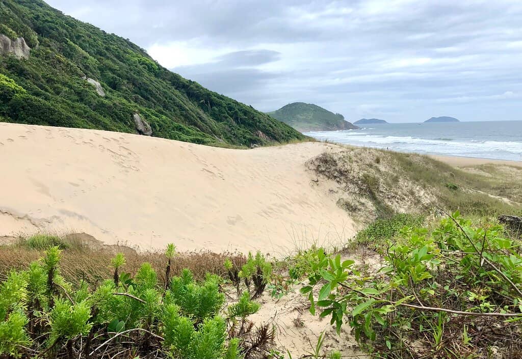 Secluded Beach Paradise