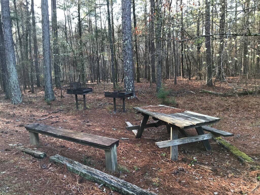 Spider Woman Trail
