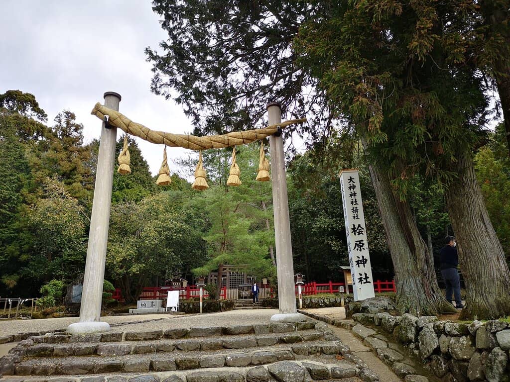 Vertical photo