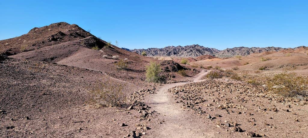Desert Vistas