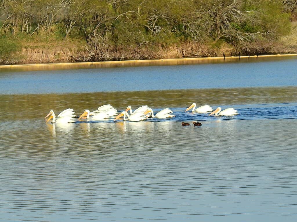 Educational Center & Gift Shop