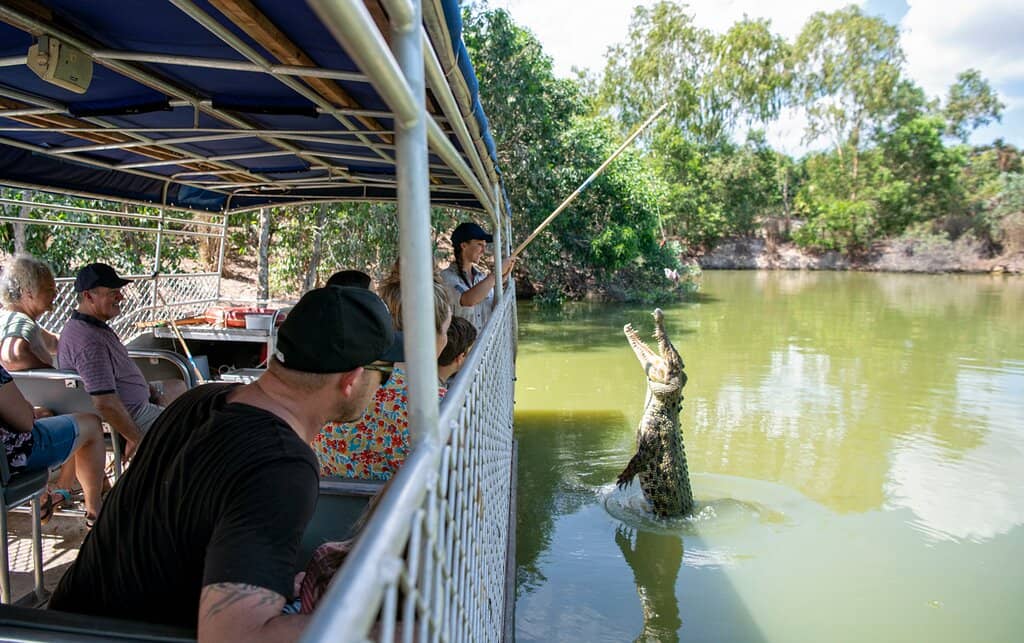 Jumping Crocodile Cruise