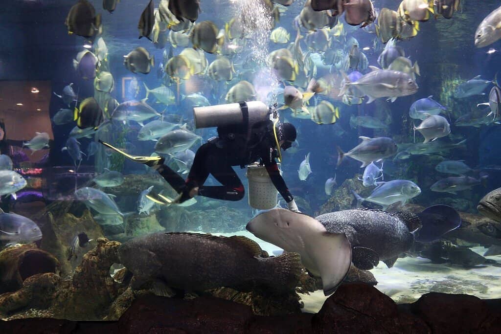 Reptile & Amphibian World