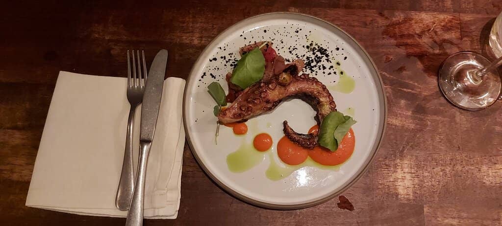 Octopus
