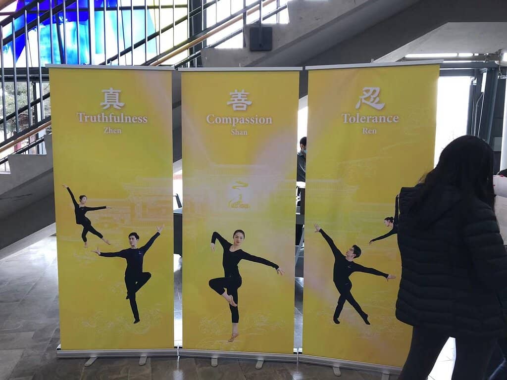 Art Exhibitions & Studios