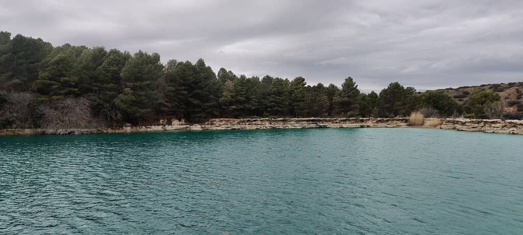 Don Quixote Connection