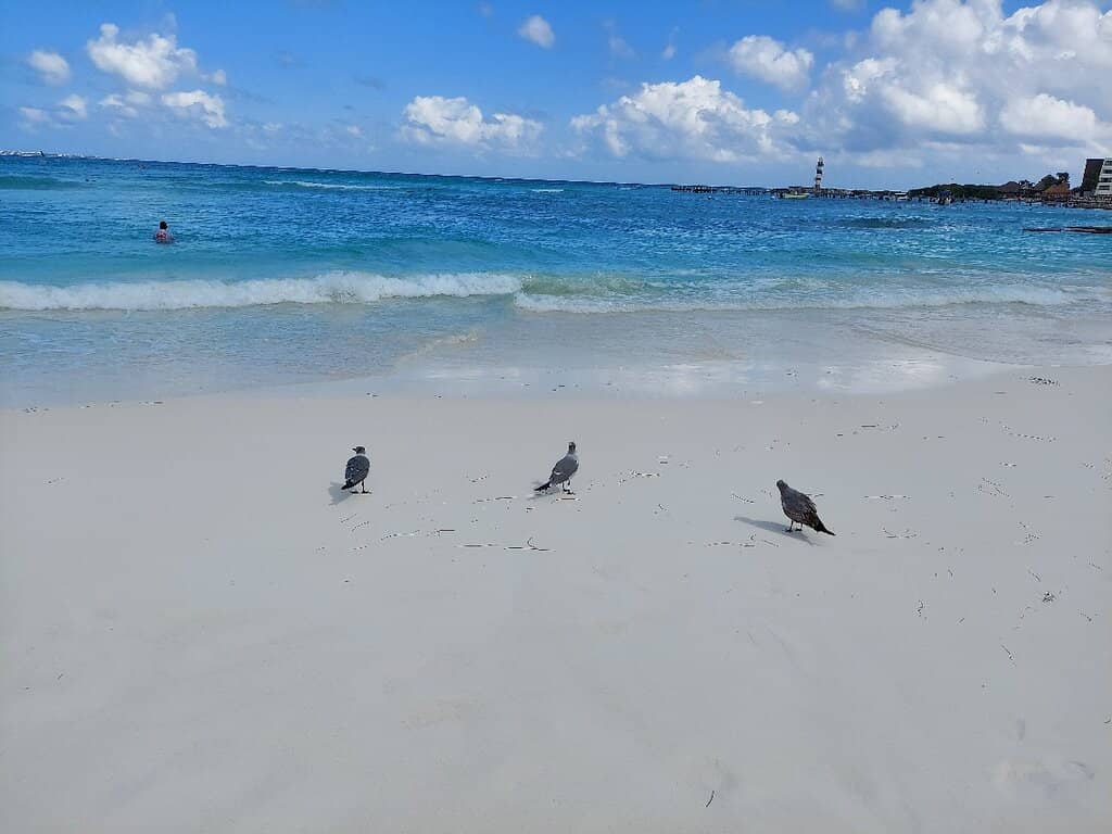 Iconic Beach Letters