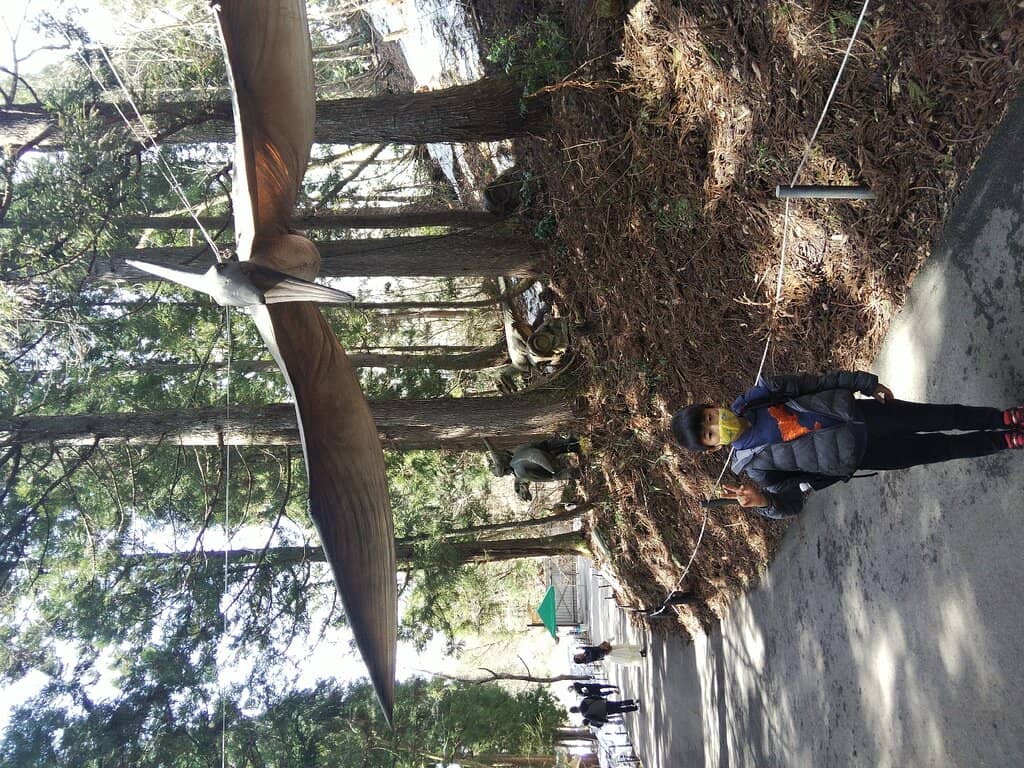 Fukui Raptor Exhibit