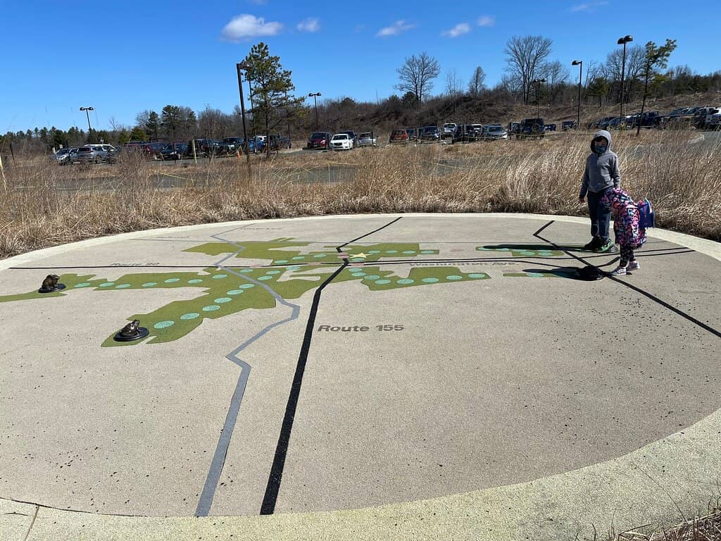 Inland Pine Barrens Ecosystem