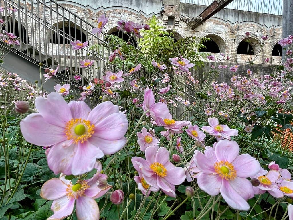 Arches of History