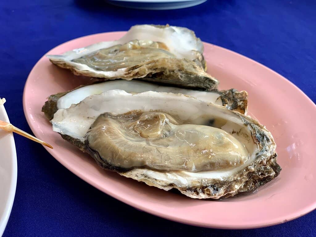 Rustic Seaside Ambiance