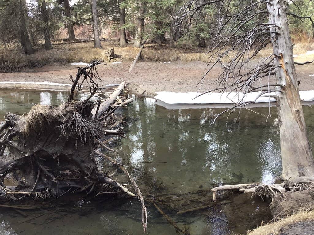 Birdwatching Paradise