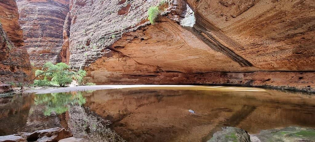 Indigenous Art & Designs