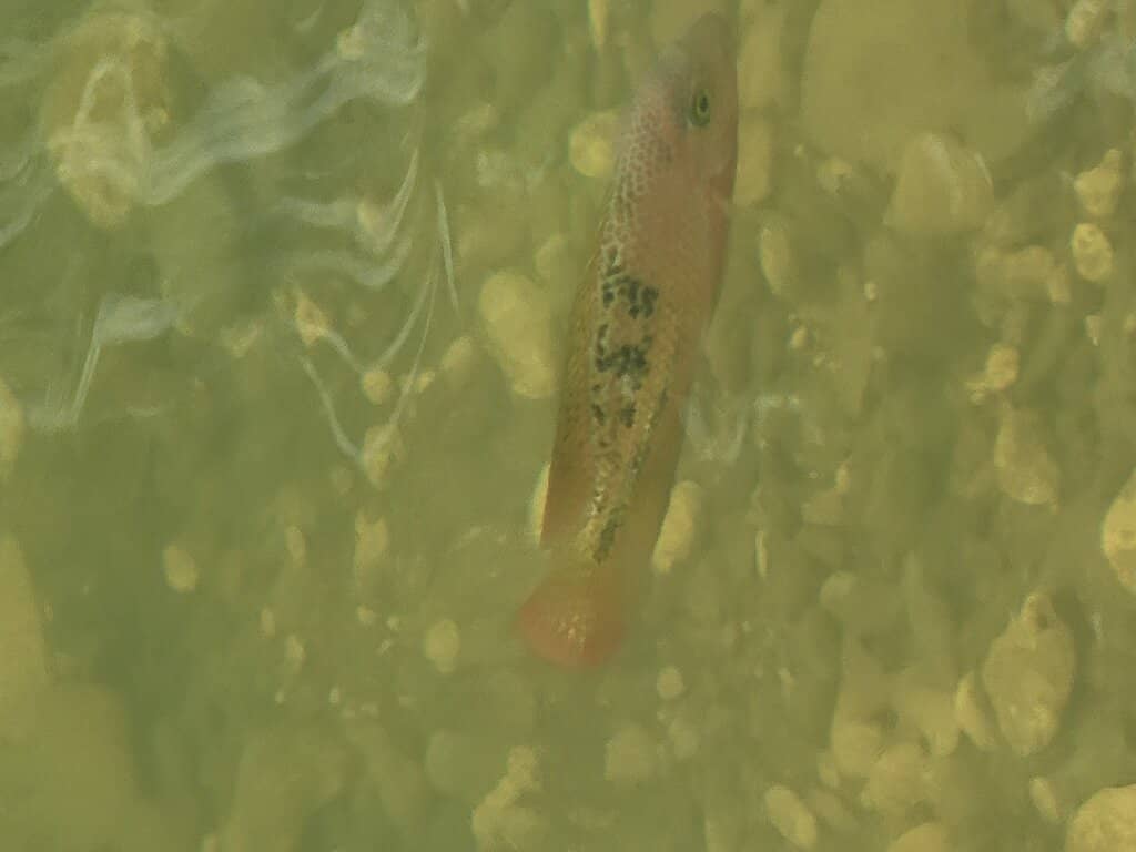 Coastal Path Exploration