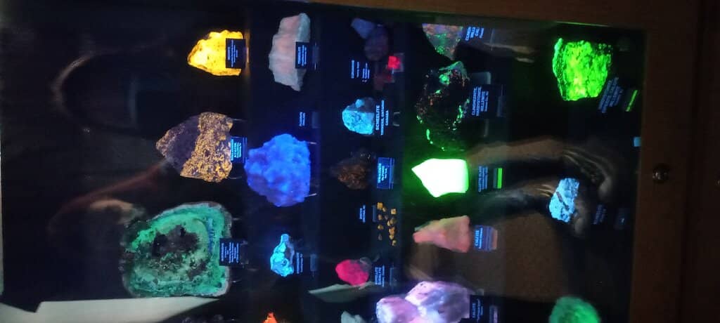 Dinosaur & Meteorite Displays