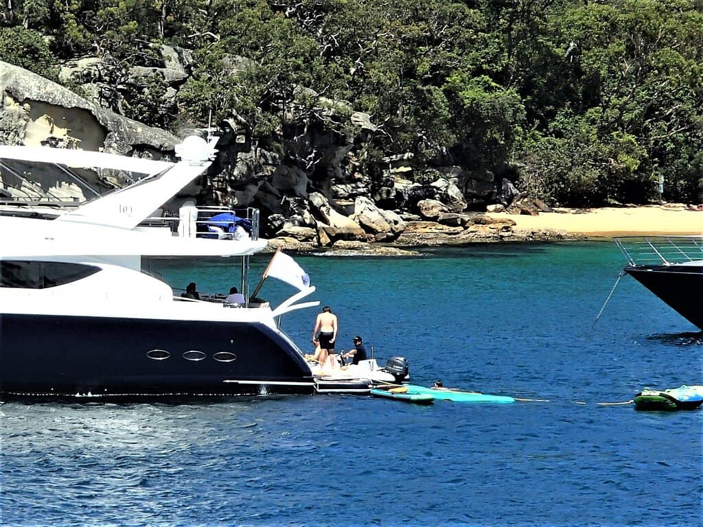 Crystal Clear Swimming
