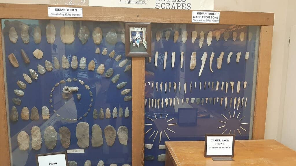 Lifelike Taxidermy Collection