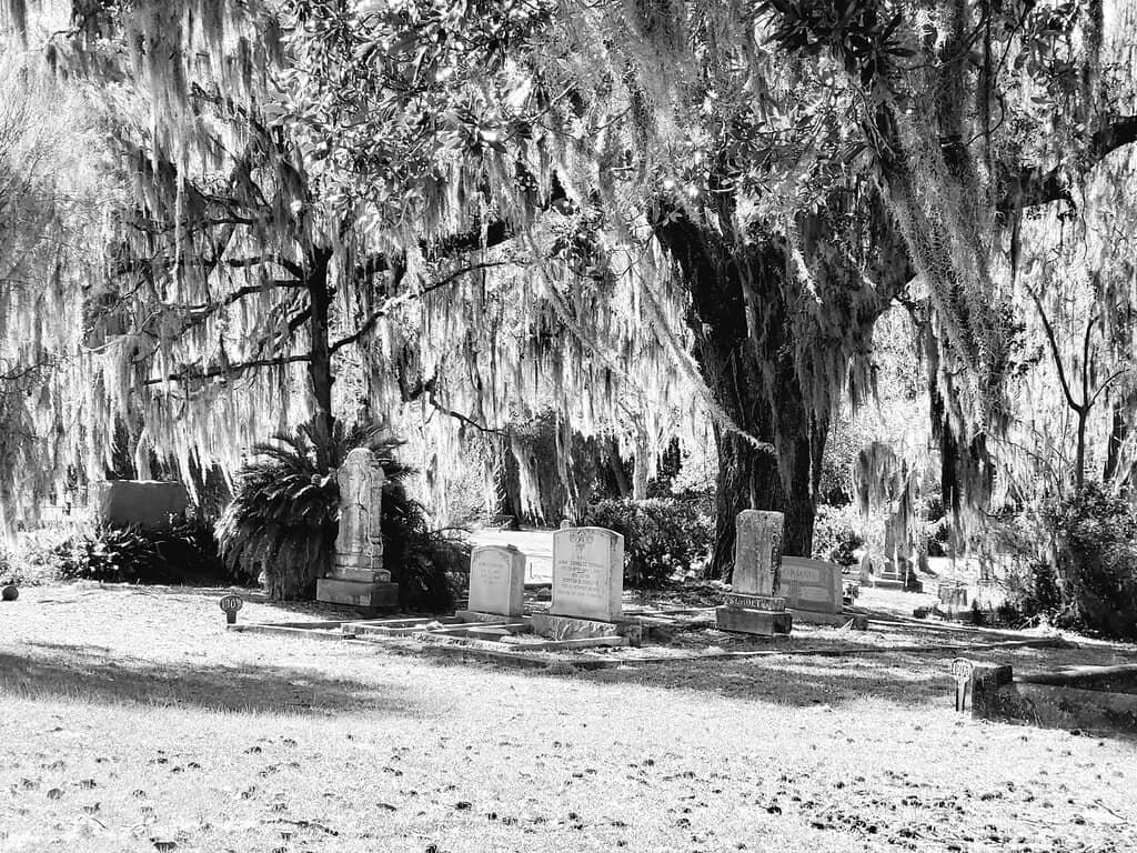 Overgrown Victorian Mausoleums
