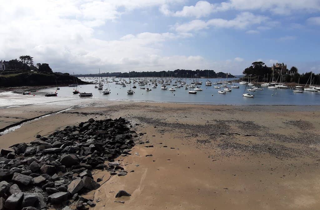 Pebble Shoreline