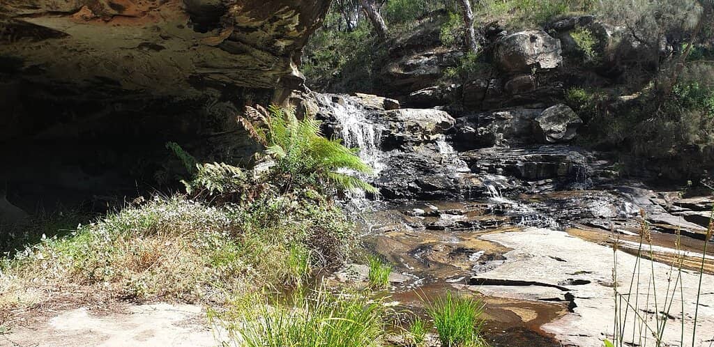Scenic Nature Walk