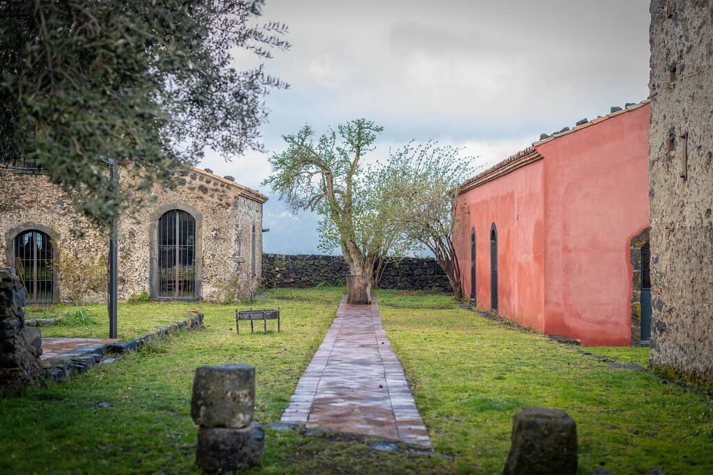 Scenic Vineyard Views