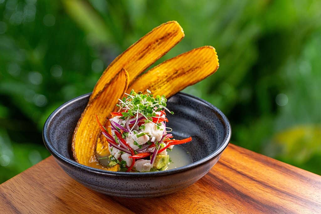 Cascading Waterfall Pools