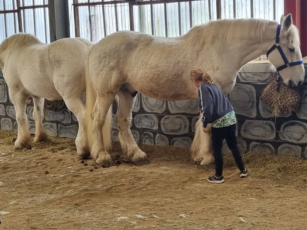 Animal Encounters