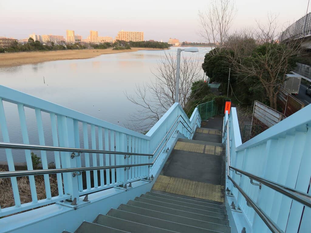 Diverse Flora and Fauna