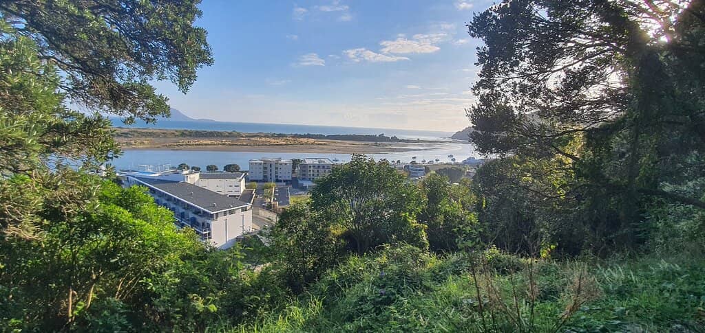 Ohope Beach Views
